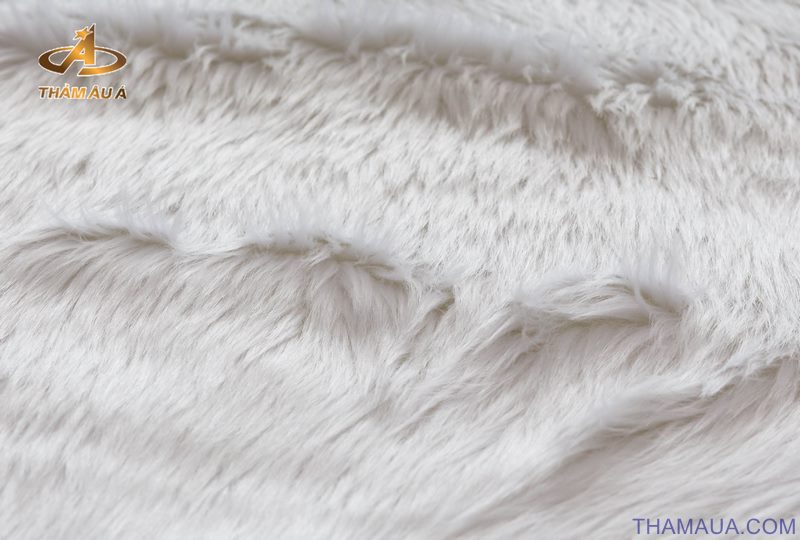 Thảm Trang Trí SOFTA 800 BEIGE-WHITE